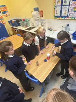 Science Week 9th-16th November